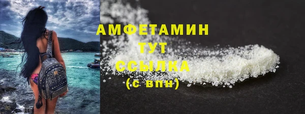 PSILOCYBIN Дмитриев