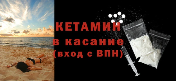 твердый Дмитровск