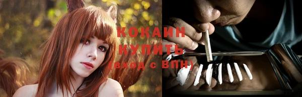 твердый Дмитровск