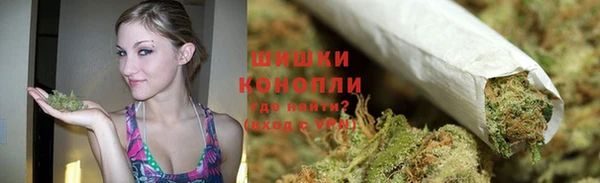 PSILOCYBIN Дмитриев