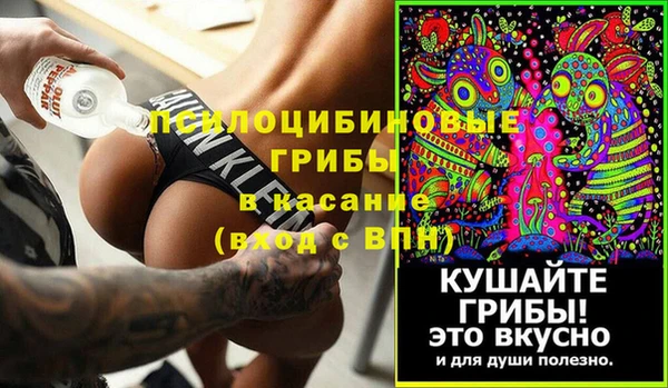 твердый Дмитров
