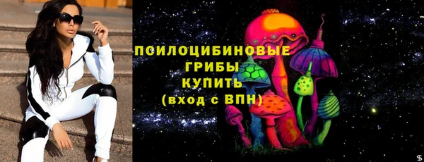 твердый Дмитров