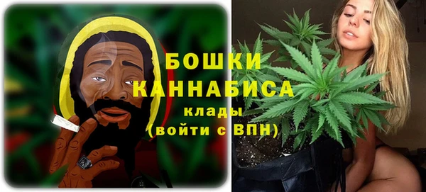 PSILOCYBIN Дмитриев