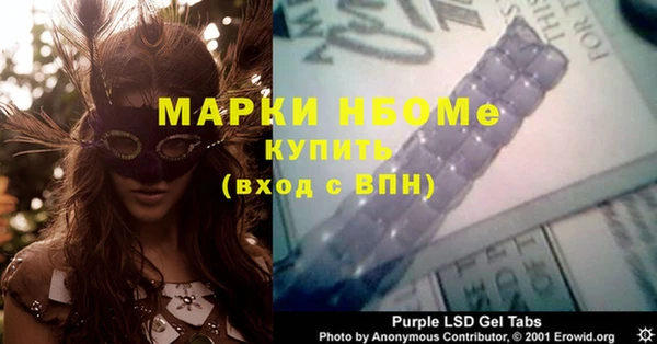 твердый Дмитровск