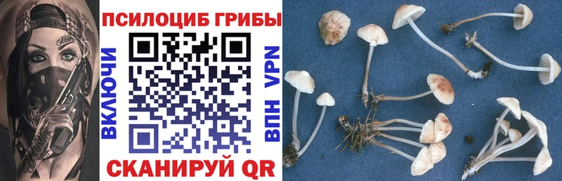 Купить  Дагестанские Огни  Галлюциногенные грибы прущие грибы 
